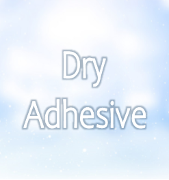 Dry Adhesives